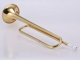 C corneta modelo de entrada laca de ouro|bugle|lacquer - AliExpress